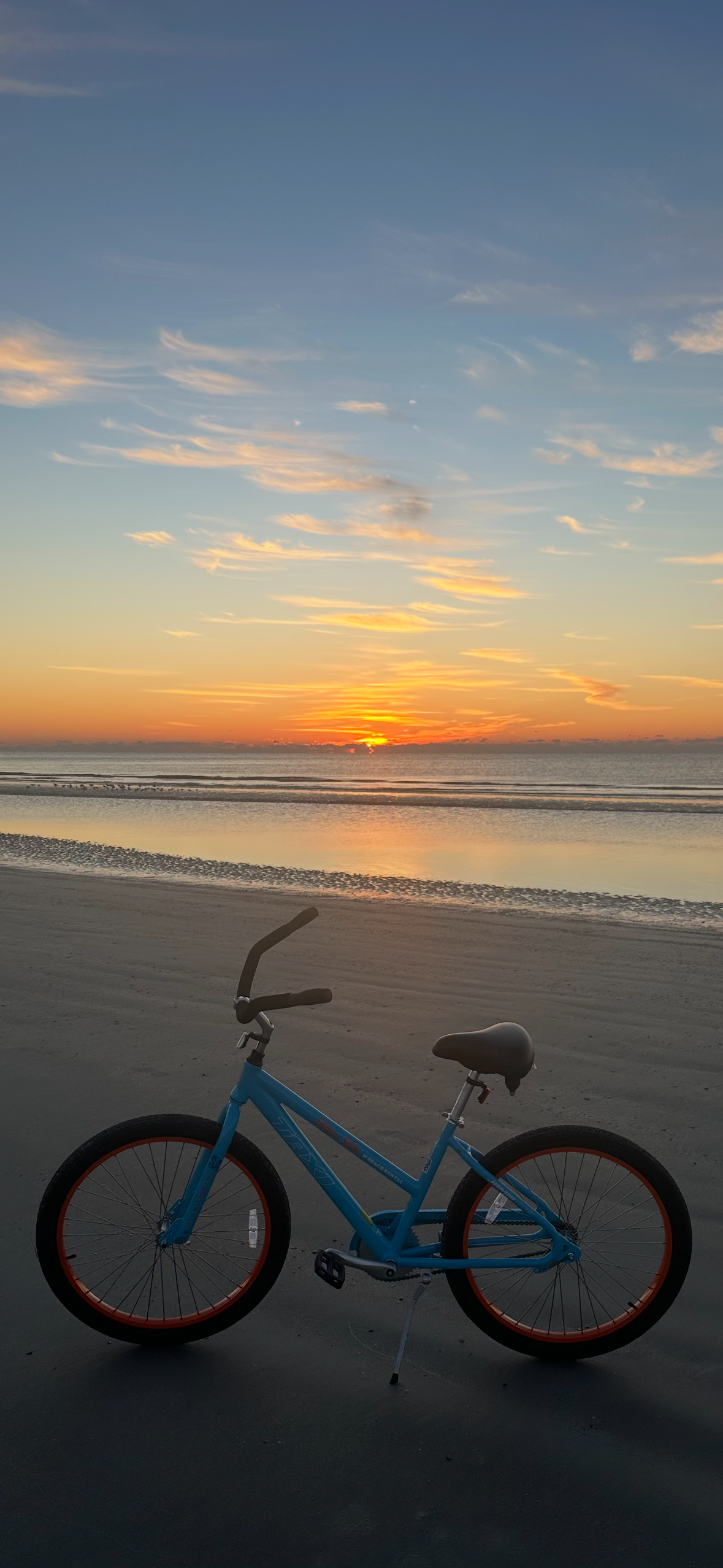 Beach cruiser bikes for rent - sunset beach scene